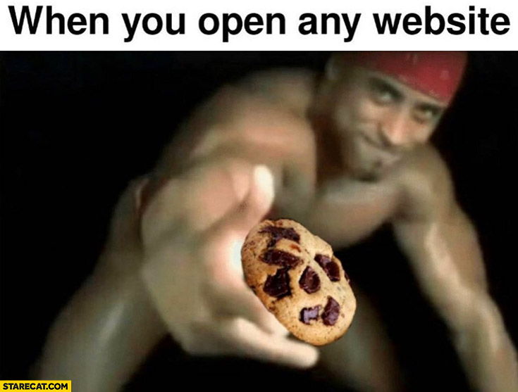 When you open any website it gives you offers you a cookie