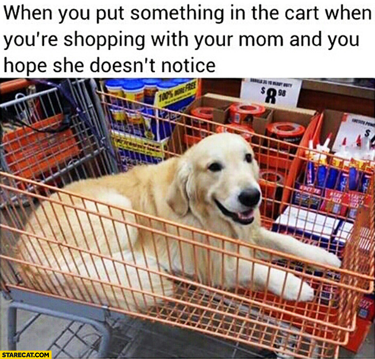 When you put something in the cart when you’re shopping with your mom and you hope she doesn’t notice dog