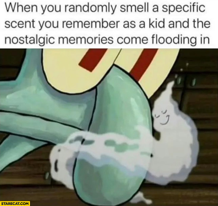When you randomly smell a specific scent you remember as a kid and the nostalgic memories come flooding in Spongebob