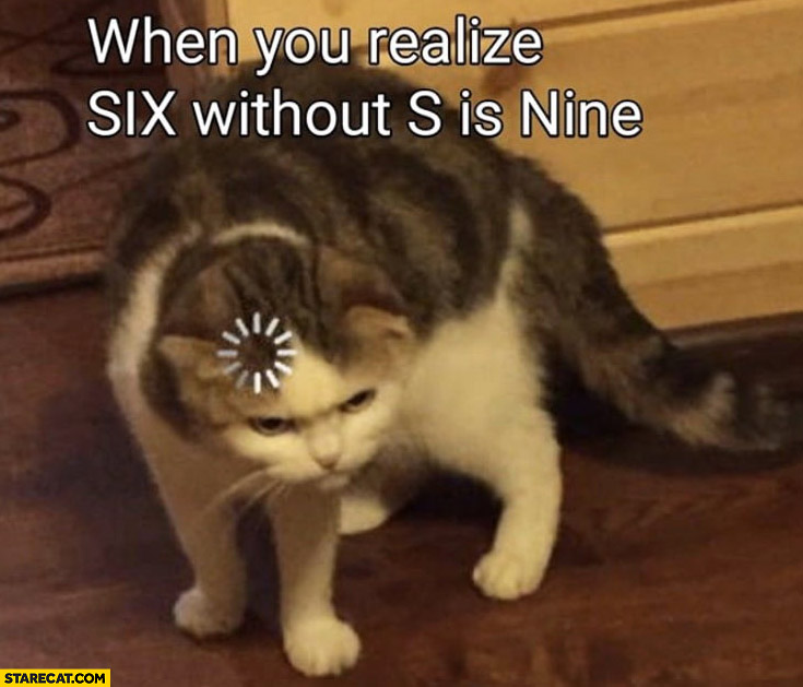 When you realize six without s is nine