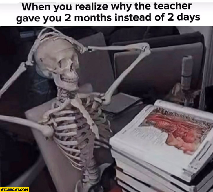 When you realize why the teacher gave you 2 months instead of 2 days skeleton