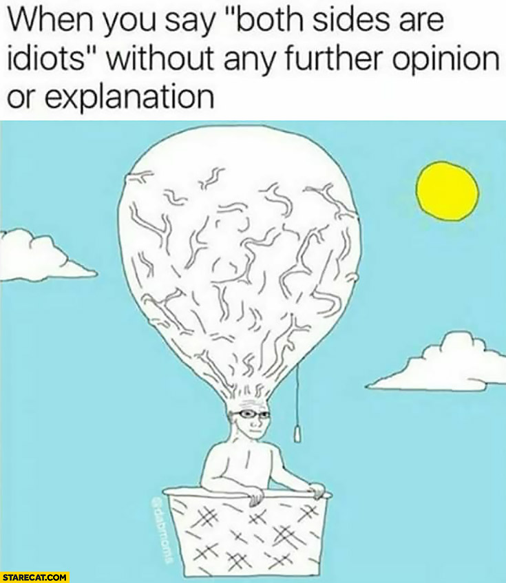 When you say both sides are idiots without any further opinion or explanation brainlet