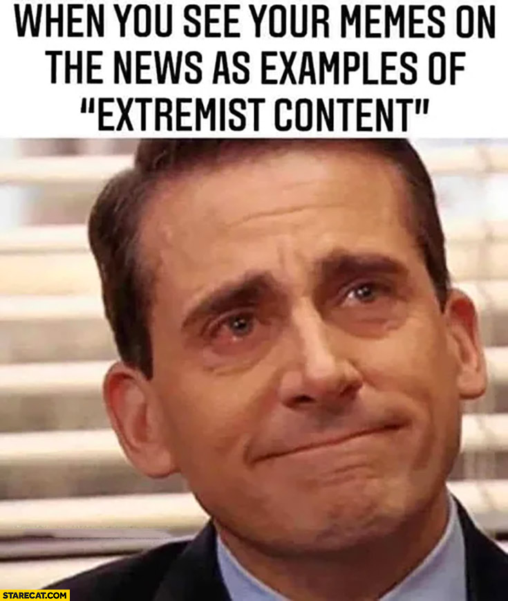 When you see your memes on the news as examples of extremist content the office Michael Scott crying