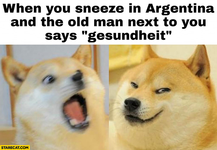 When you sneeze in Argentina and the old man next to you says gesundheit doge dog