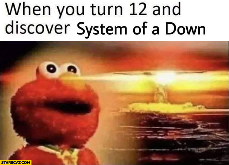 When you turn 12 and discover system of a down Elmo