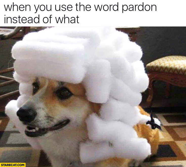 When you use the word pardon instead of what dog meme