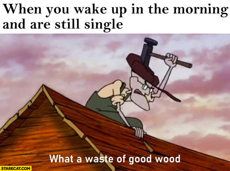 When you wake up in the morning and are still single what a waste of good wood