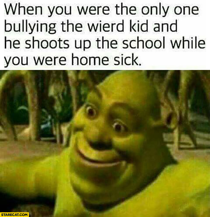 When you were the only one bullying the weird kid and he shoots up the school while you were home sick Shrek