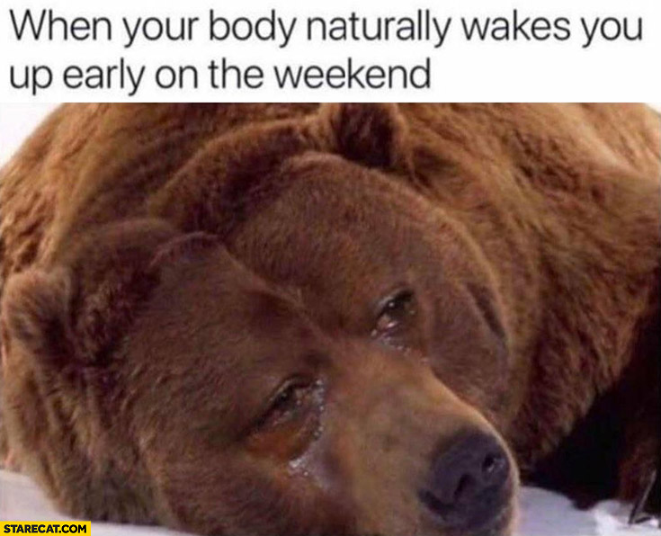 When your body naturally wakes you up on the weekend sad bear crying
