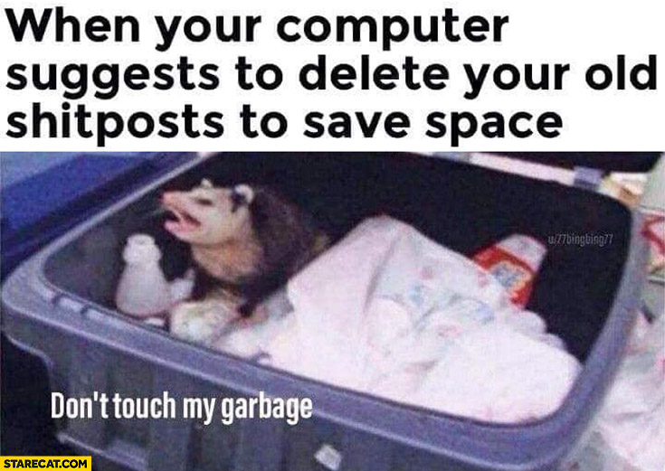 When your computer suggests to delete your old shitposts to save space, don’t touch my garbage bin trash