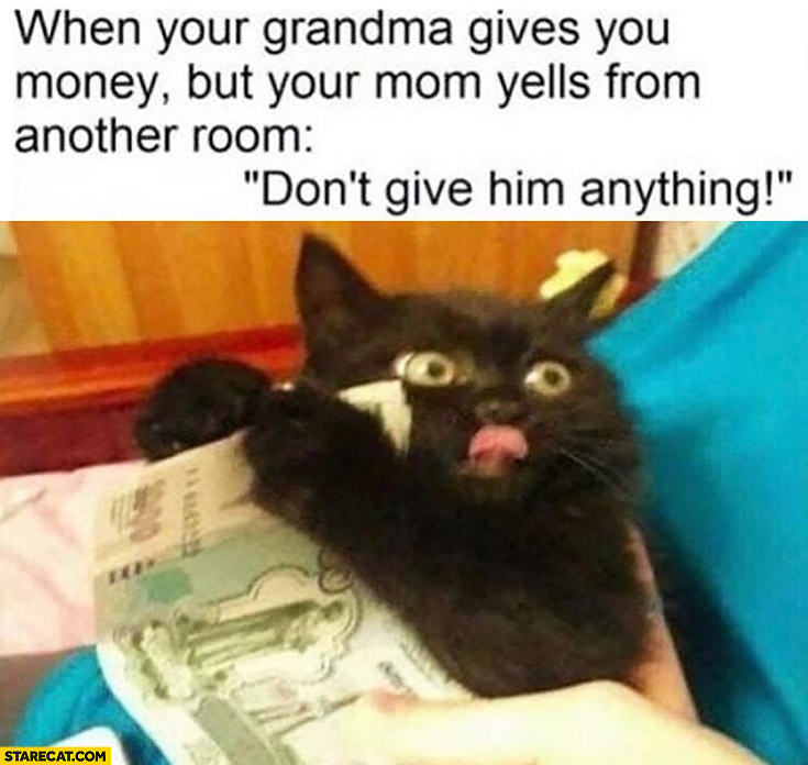 When your grandma gives you money but your mom yells from another room don’t give him anything cat