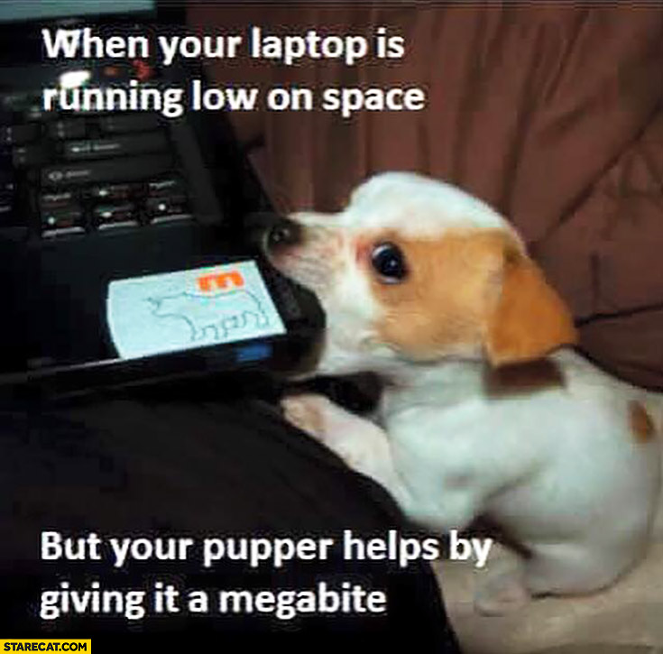 When your laptop is running low on space but your pupper helps by giving it a megabite biting