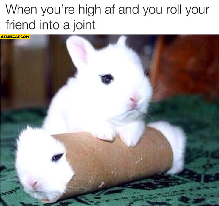When you’re high and you roll your friend into a joint
