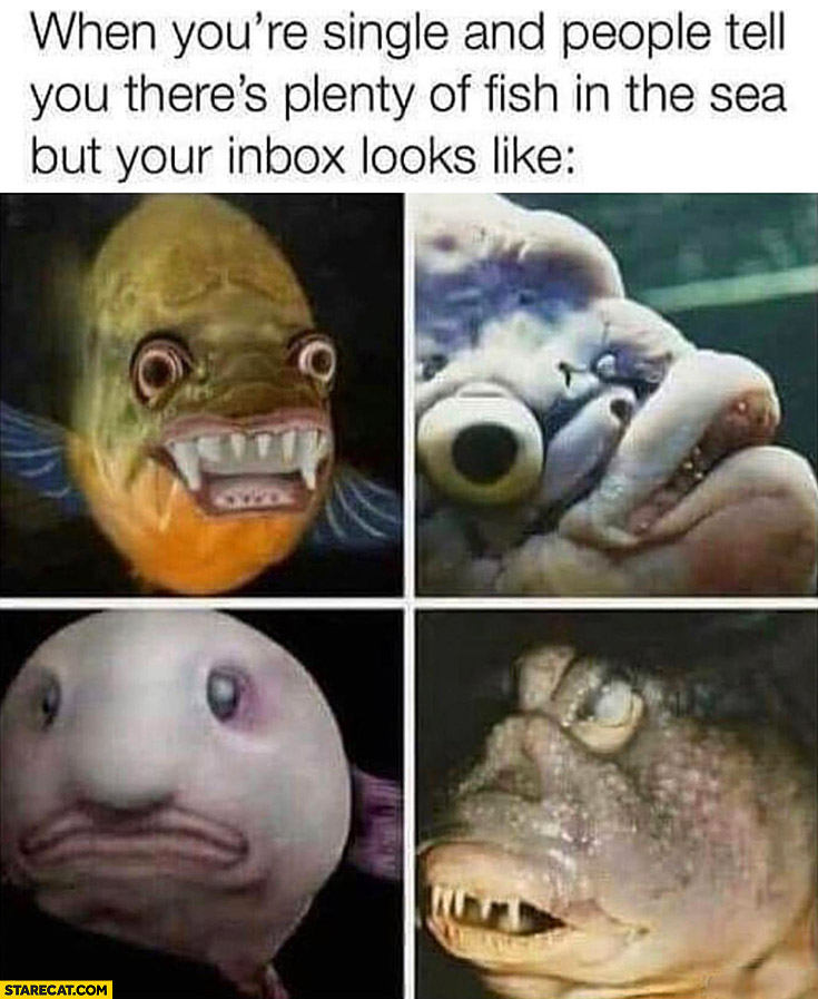 When you’re single and people tell you there’s plenty of fish in the sea but your inbox looks like only ugly fish