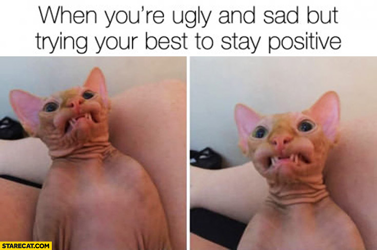 When you’re ugly and sad but trying your best to stay positive cat smiling