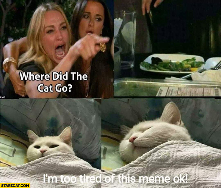 Where did the cat go? I’m too tired for this meme