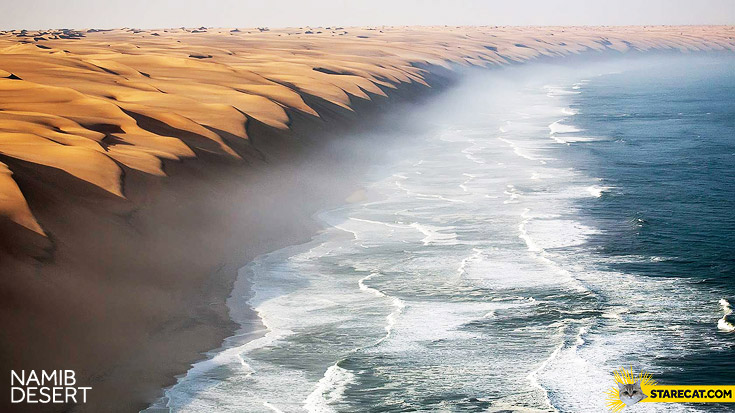 Where Namib desert meets sea