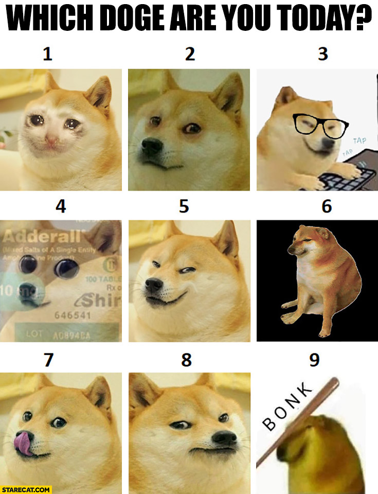 Which doge cheems are you today numbers from 1 to 9