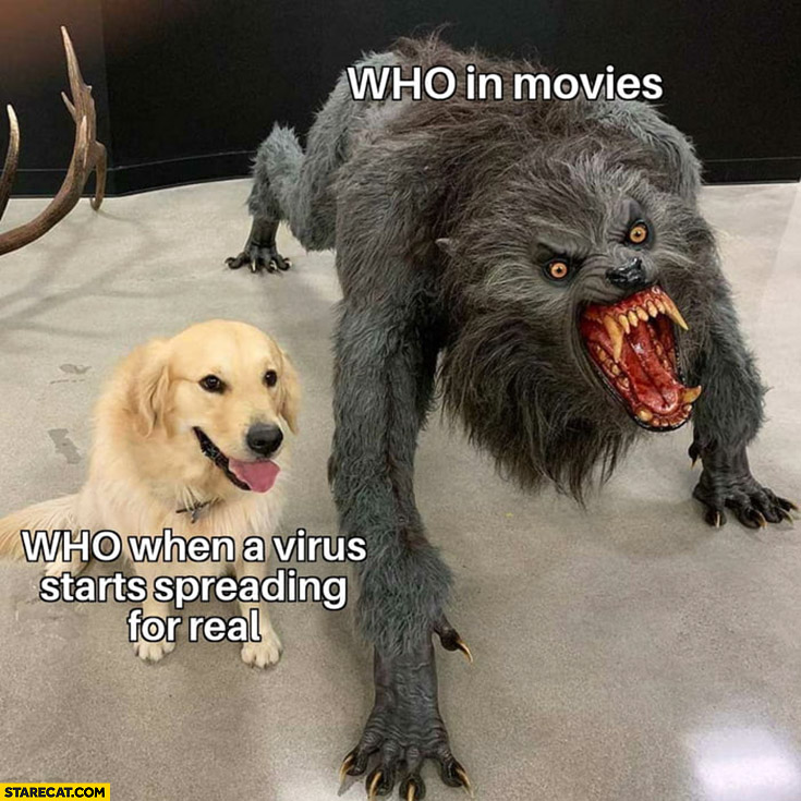 WHO in movies vs WHO when a virus starts spreading for real