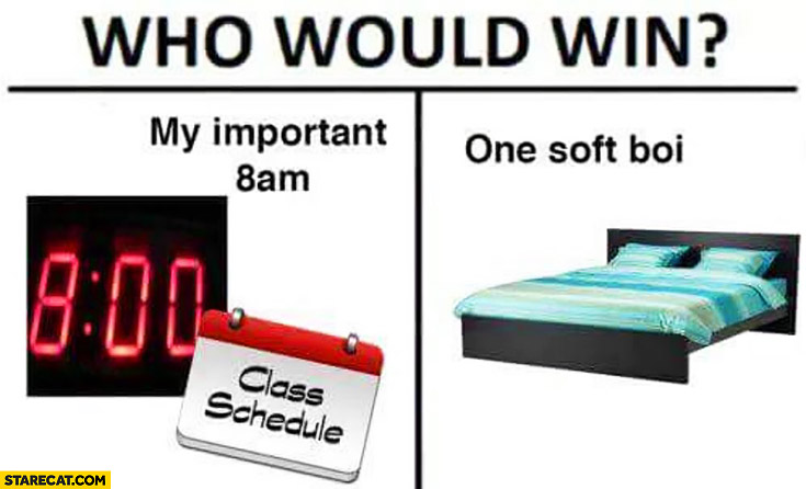 Who would win? My important 8 am vs bed one soft boy