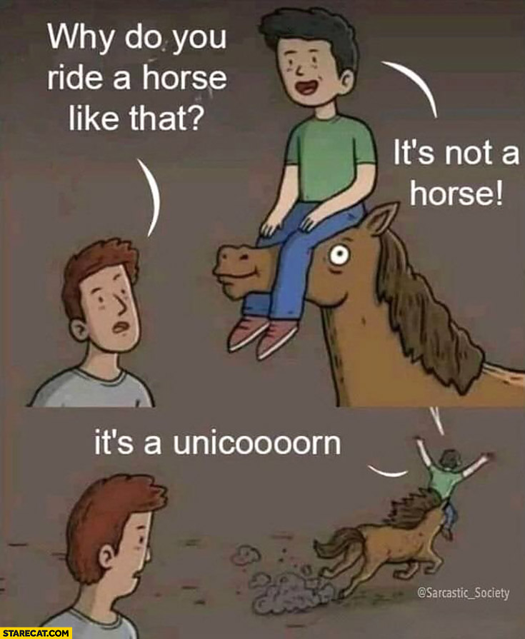 Why do you ride a horse like that? It’s not a horse it’s a unicorn