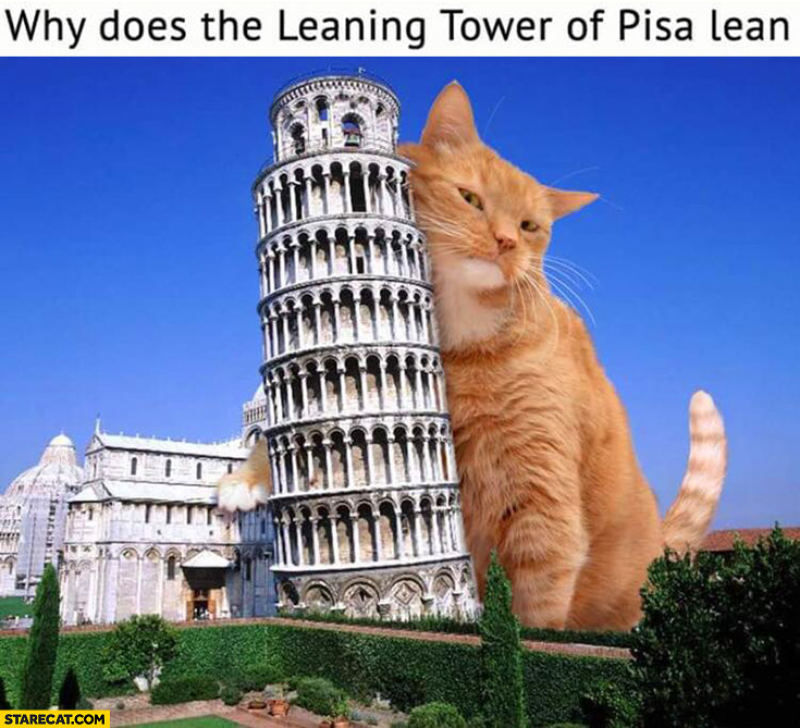 Why does the leaning tower of Pisa lean? Huge giant cat