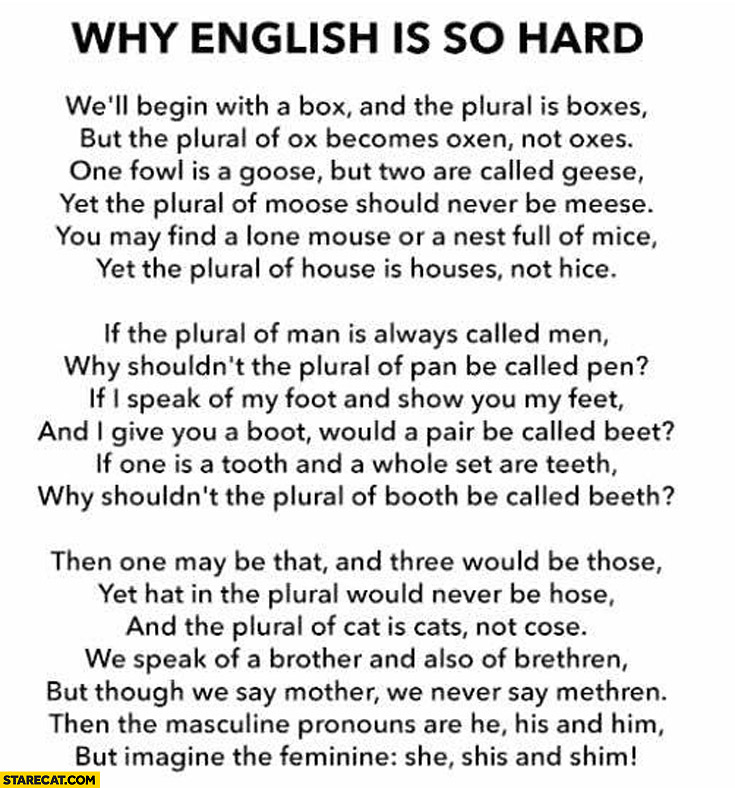 Why English Is So Hard Poem StareCat