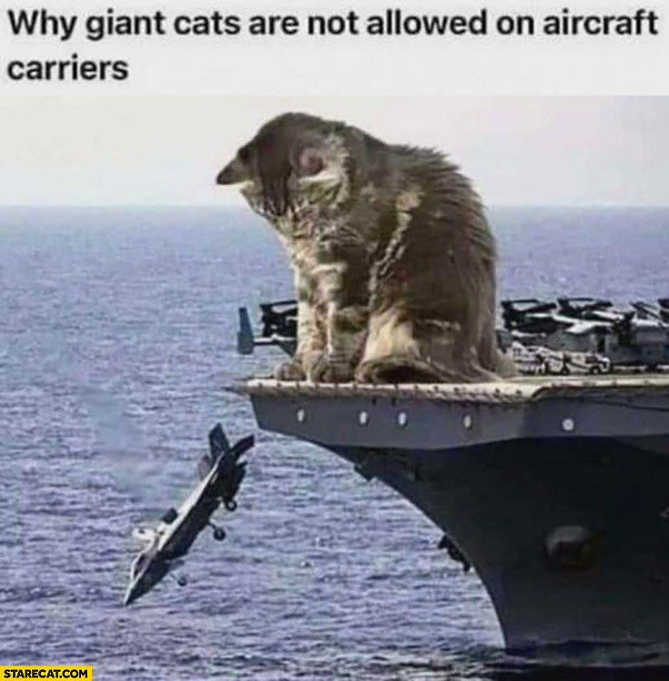 Why giant cats are not allowed on aircraft carriers dropping jet fighter
