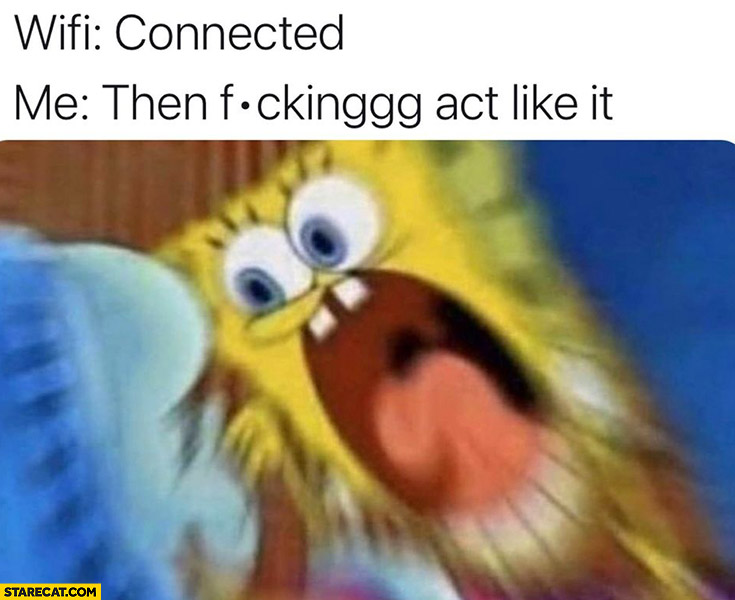 Wifi connected me then act like it spongebob