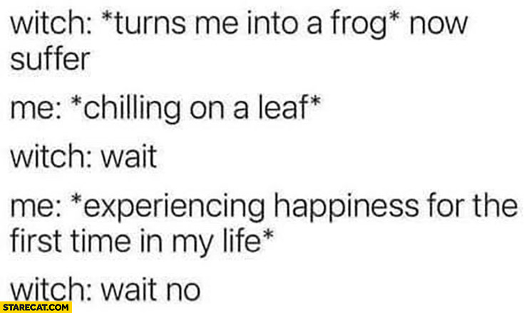 Witch: turns me into a frog, me: chilling on a leaf experiencing happiness for the first time in my life, witch: wait no