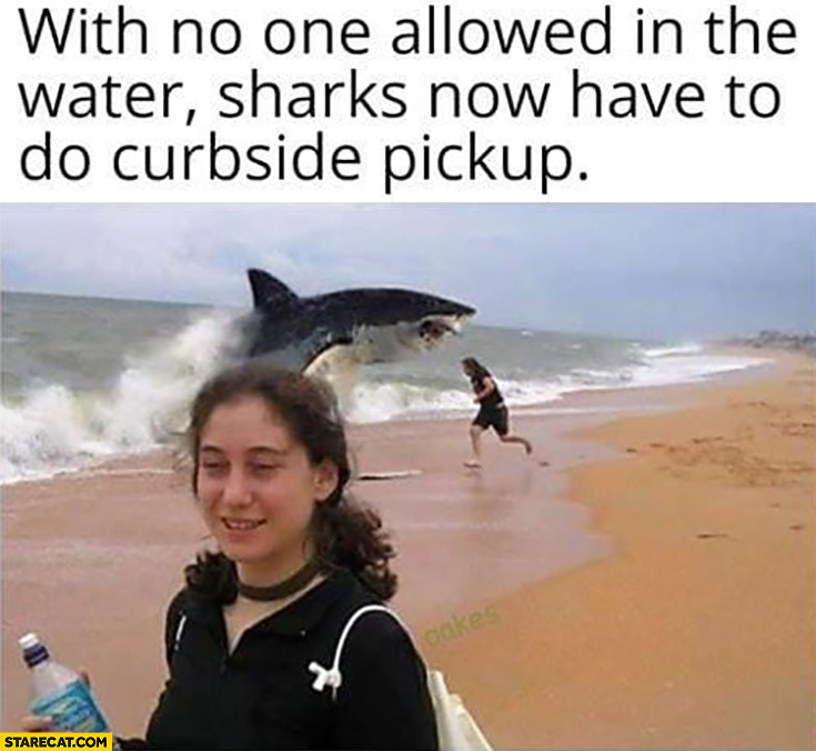 With no one allowed in the water sharks now have to do curbside pickup