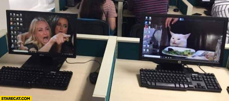 Woman yelling at a cat meme two screens monitors wallpapers