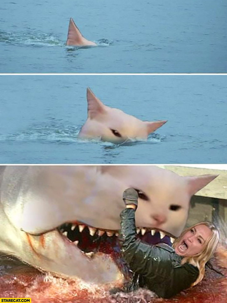 Woman yelling at cat meme photoshopped to a shark eating a woman