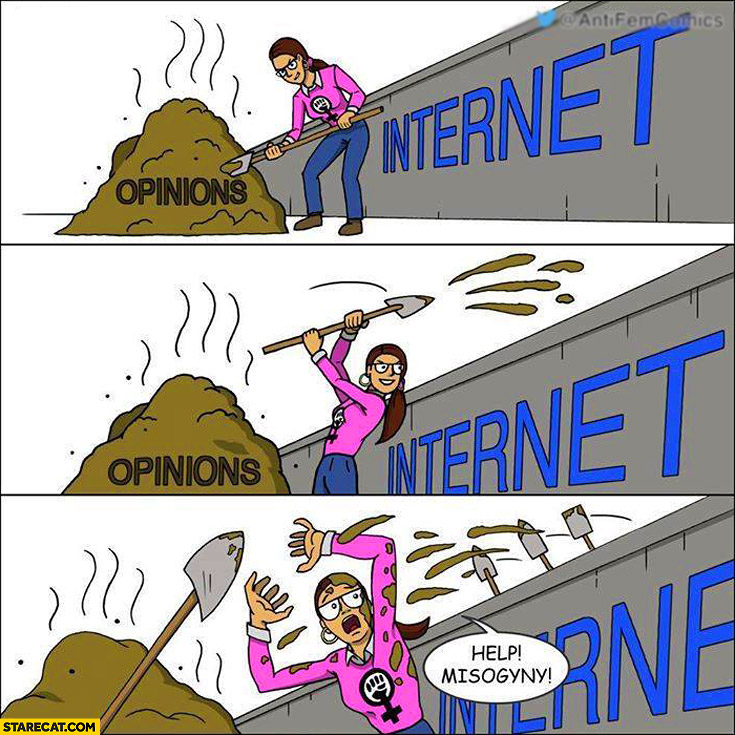 Women feminist internet opinions help misogyny
