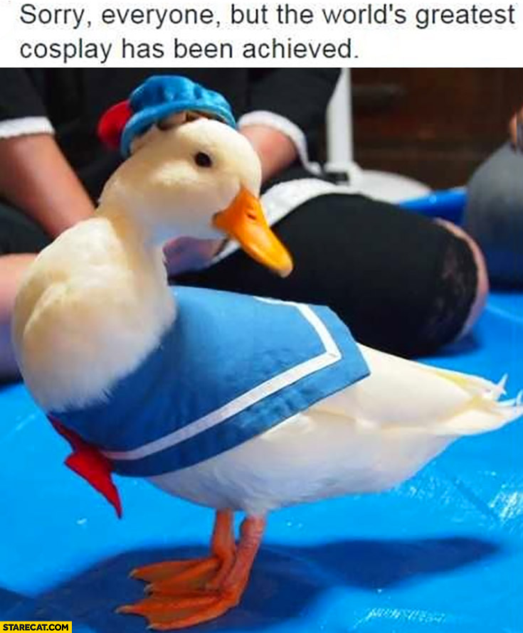 World’s greatest cosplay has been achieved actual duck dressed as Donald Duck