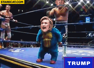 Wrestling fight Donald Trump vs Hillary Clinton gif animation