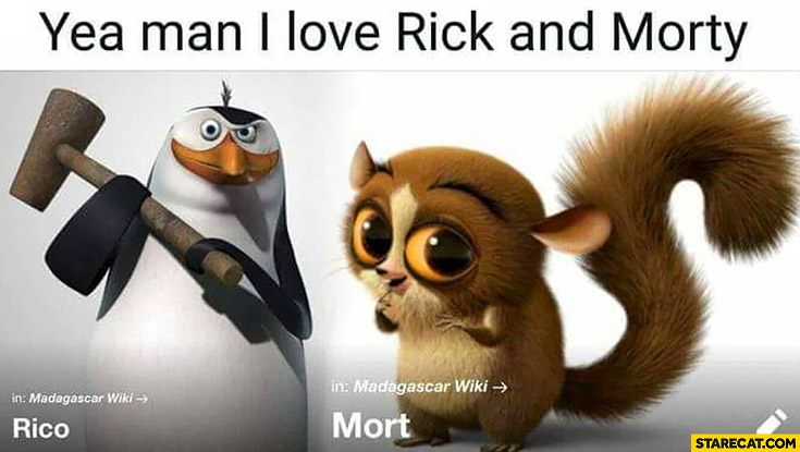 Yea man I love Rick and Morty, Rico Mort Madagascar characters