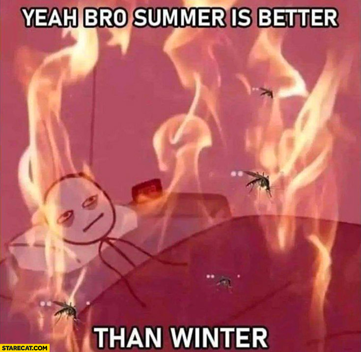 Yeah bro summer is better than winter hot room full of mosquitoes