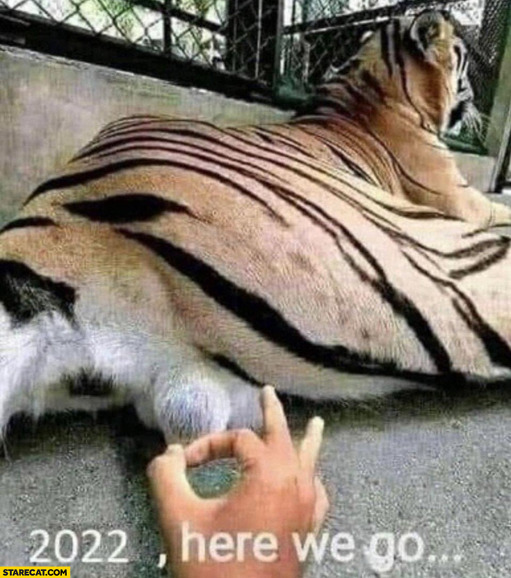 Year 2022 here we go tiger balls