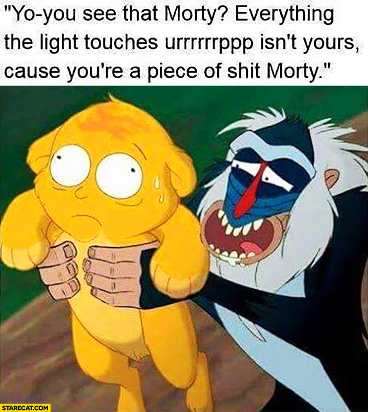 Yo, you see that Morty, everything light touches isn’t yours cause you’re a piece of shit Morty Lion King
