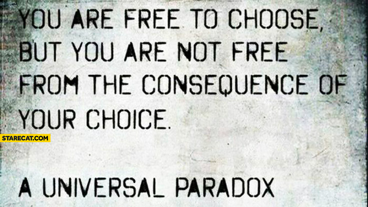 You are free to choose but you are not free from the consequence of your choice a universal paradox