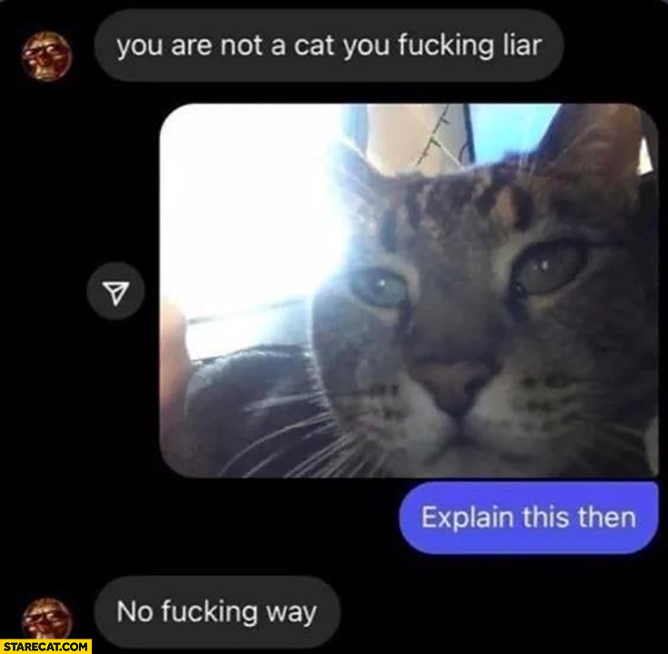 You are not a cat you liar, explain this then cat picture