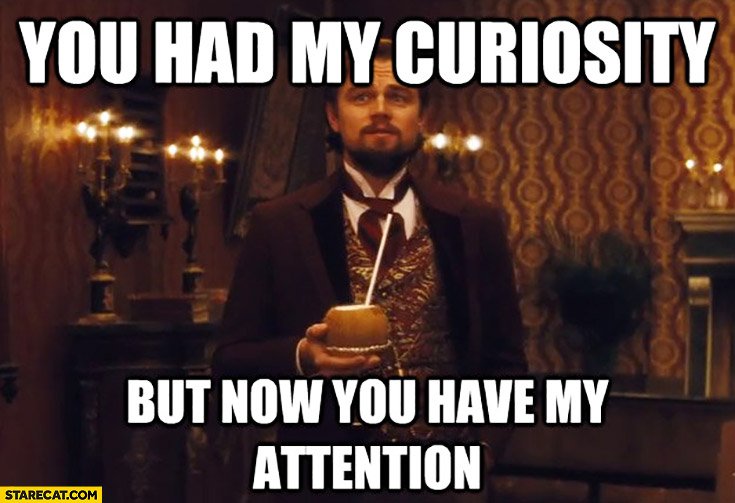 You had my curiosity, but now you have my attention. Leonardo DiCaprio Django