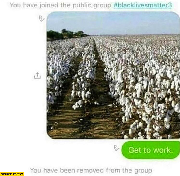 You have joined black lives matter group trolling cotton field get to work