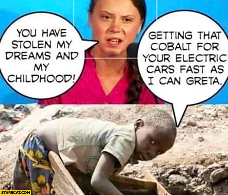 You have stolen my dreams and my childhood getting that cobalt for your  electric cars fast as I can Greta Thunberg | StareCat.com