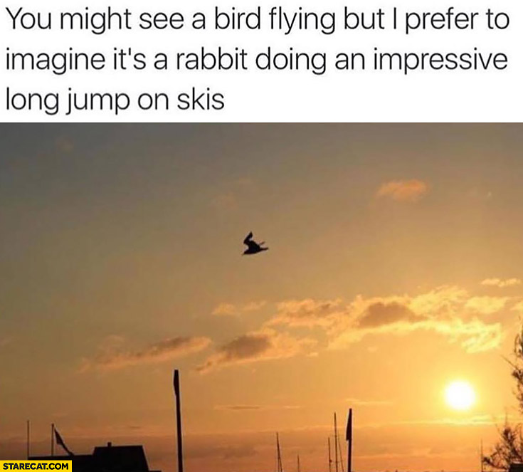 You might see a bird flying but I prefer to imagine it’s a rabbit doing an impressive long jump on skis