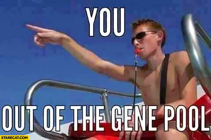 You out of the gene pool lifeguard