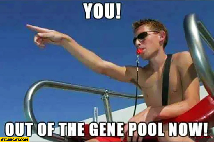 You out of the gene pool now baywatch