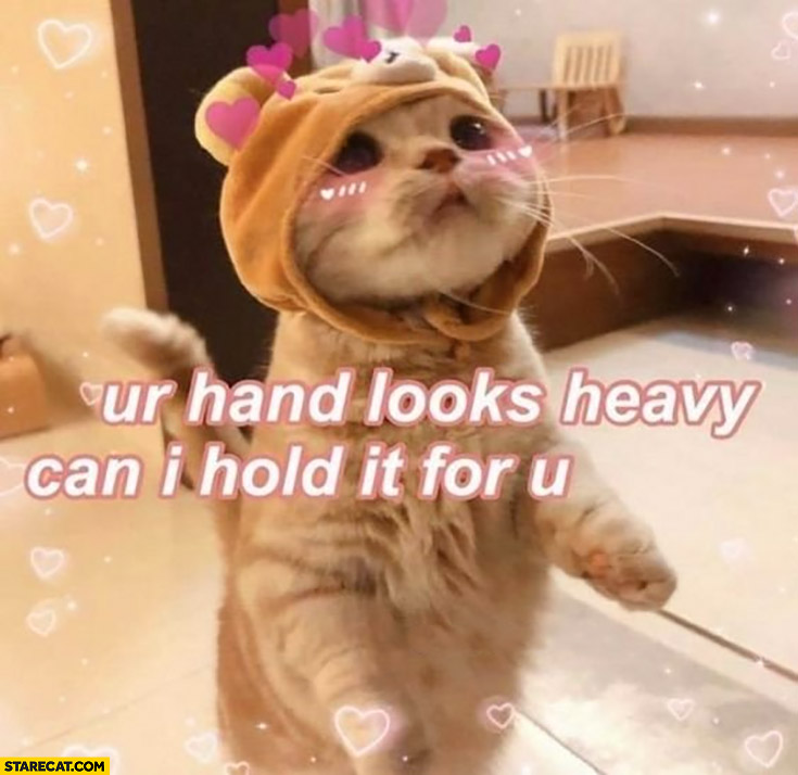 Your hand looks heavy, can I hold it for you? Cute cat kitty