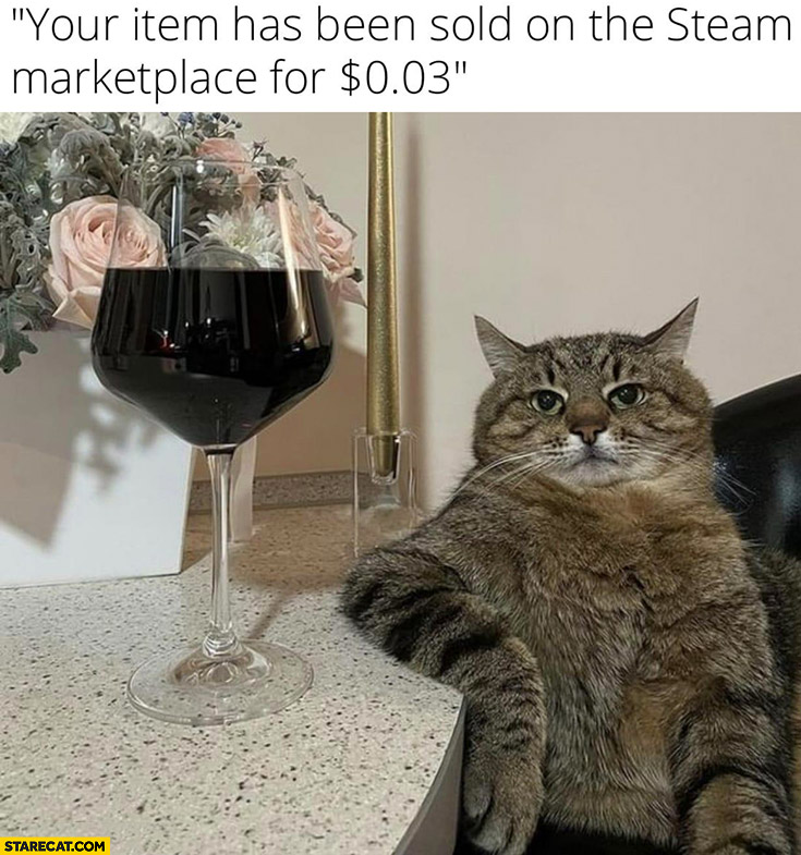 Your item has been sold on the stream marketplace for 3 cents Stepan cat with wine